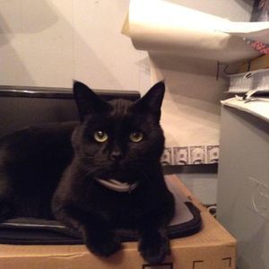 Meet your Posher, Kevin